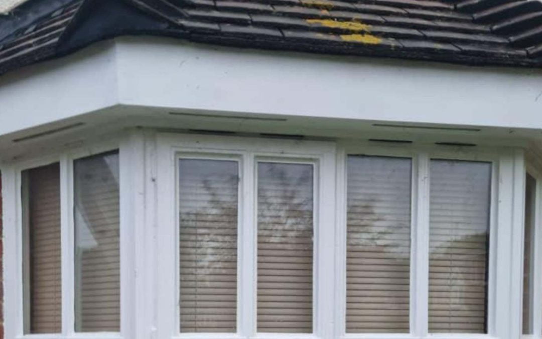 Benefits of Double Glazing Repairs Over Replacement